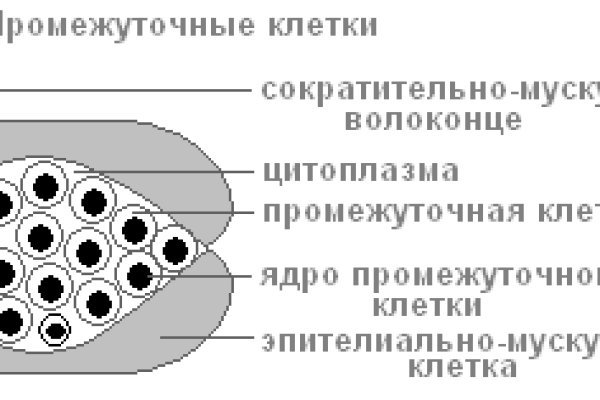 Онион сайты